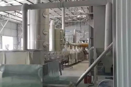 周末戰(zhàn)斗號角,臨沂生態(tài)環(huán)保人已吹響