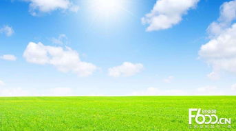 睿容空氣凈化器加盟指南 加盟費、官網、條件流程及政策支持解析